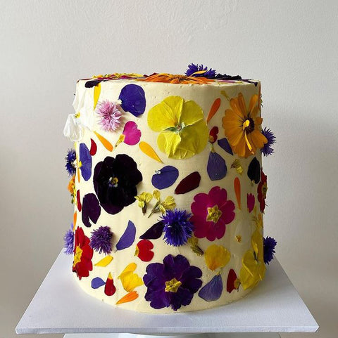 Pansy