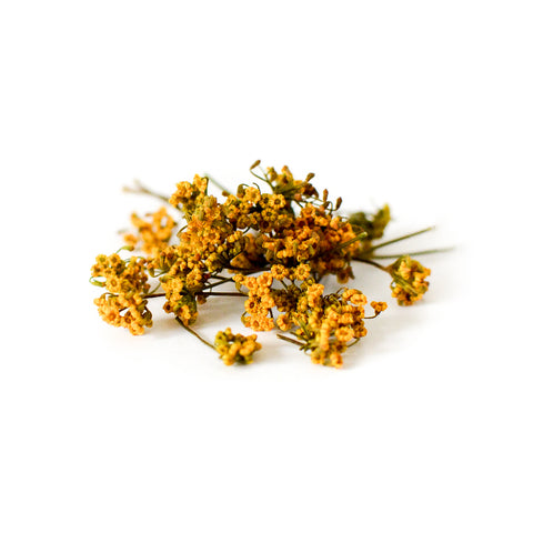Australian Dried Edible Fennel Pollen