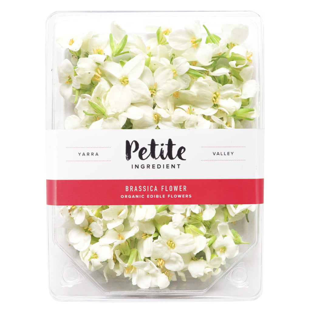 Brassica Flower White - Petite Ingredient
