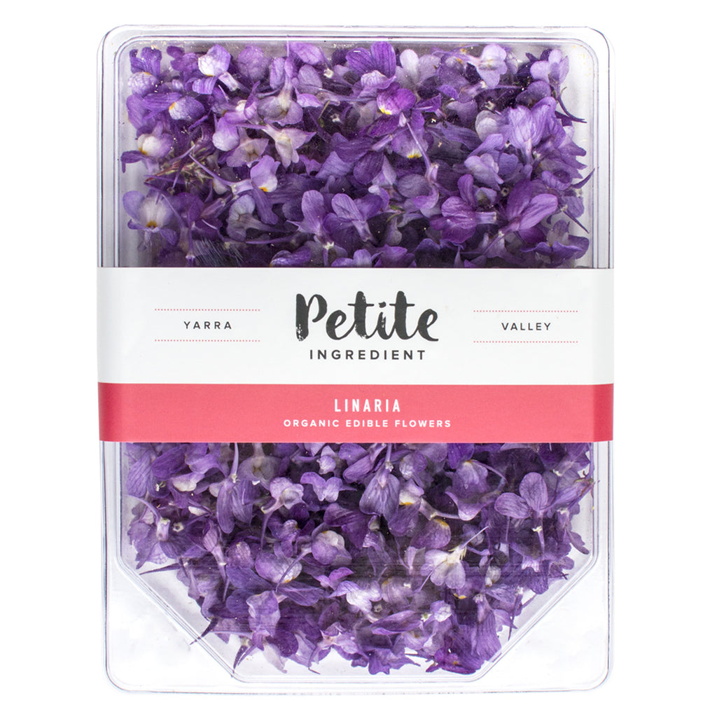 Linaria Purple - Petite Ingredient