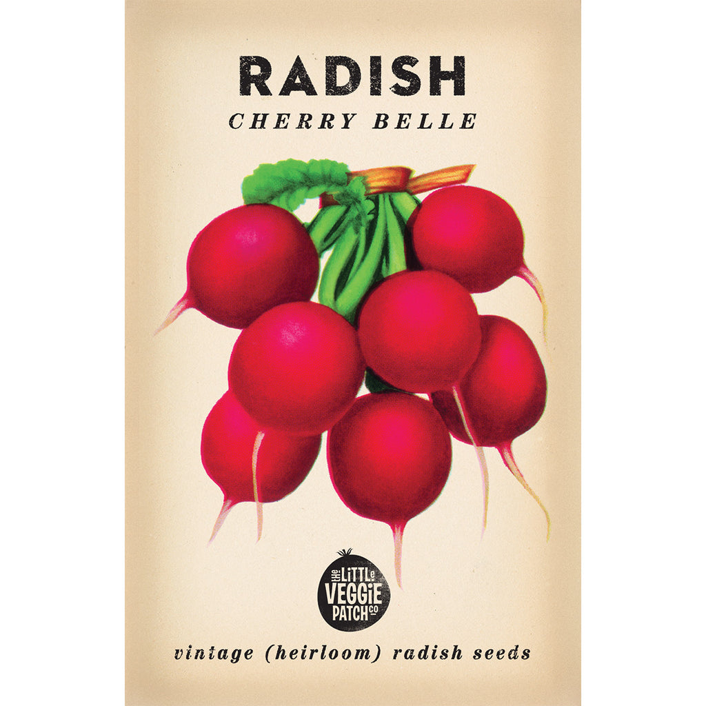 Radish Seed - Petite Ingredient