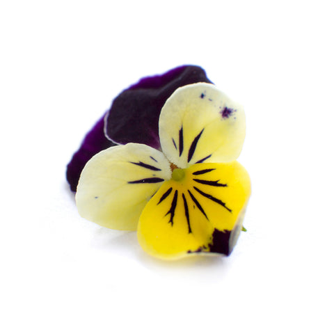 Viola 'Johnny Jump Up' - Petite Ingredient