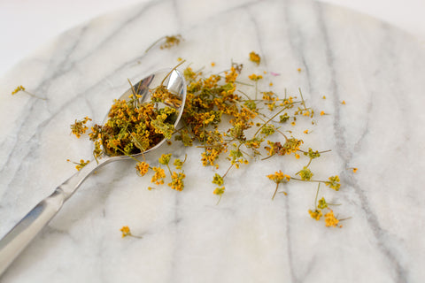 AUSTRALIAN FENNEL POLLEN