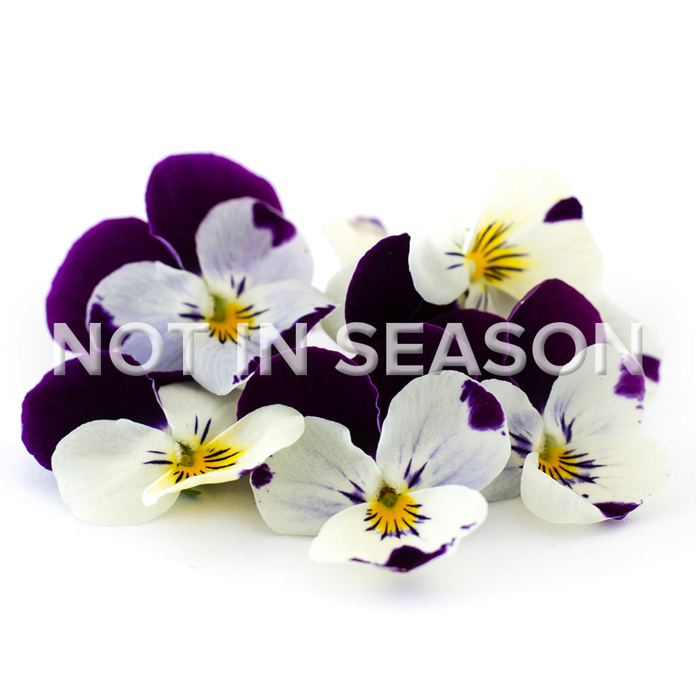 Viola Purple and White