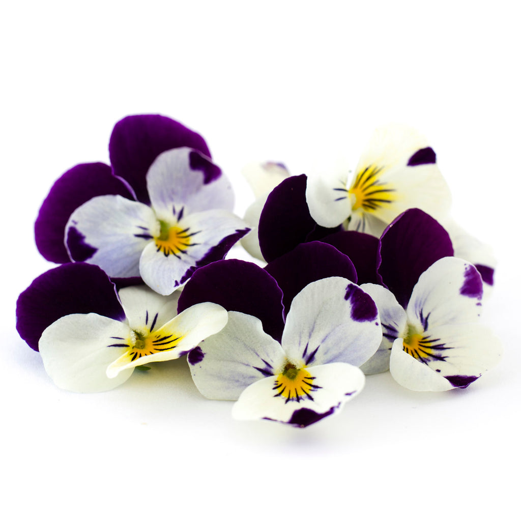 Viola Purple and White - Petite Ingredient