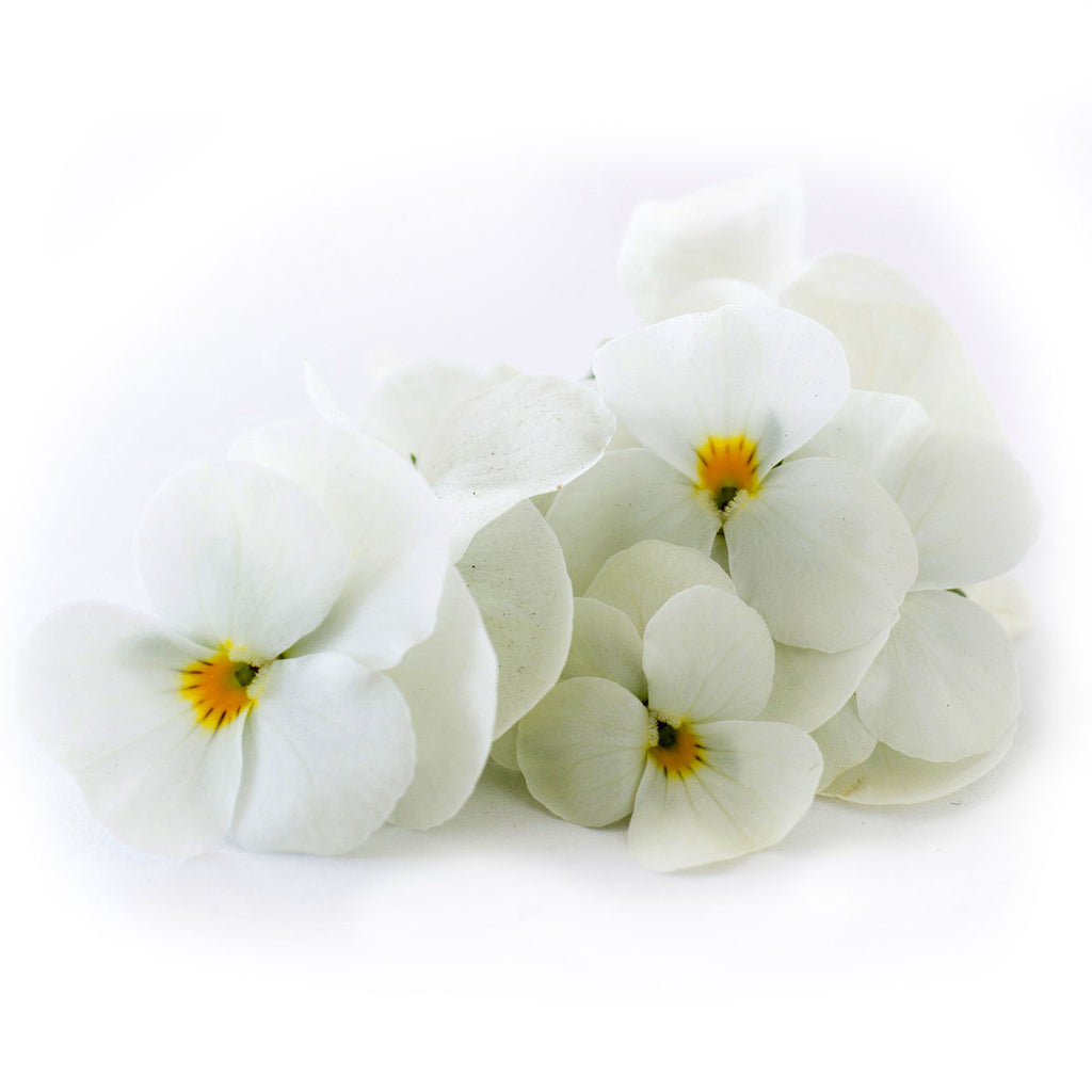 Viola White - Petite Ingredient