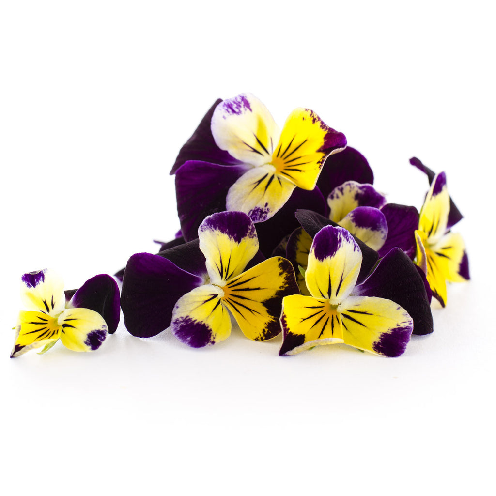 Viola 'Johnny Jump Up' - Petite Ingredient