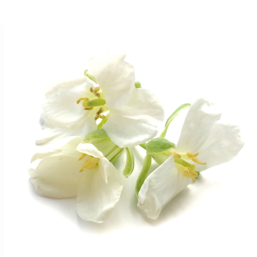 Brassica Flower White - Petite Ingredient