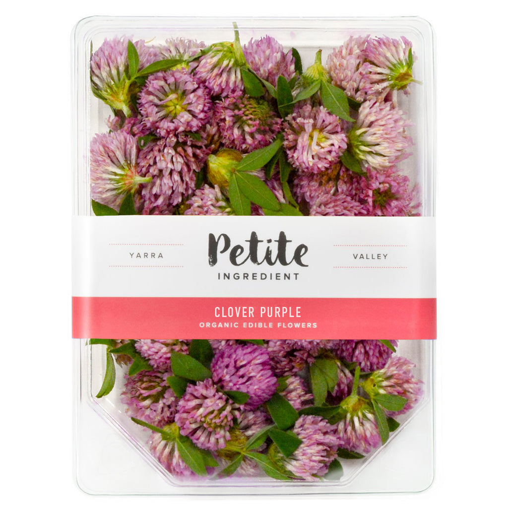 Clover Purple - Petite Ingredient