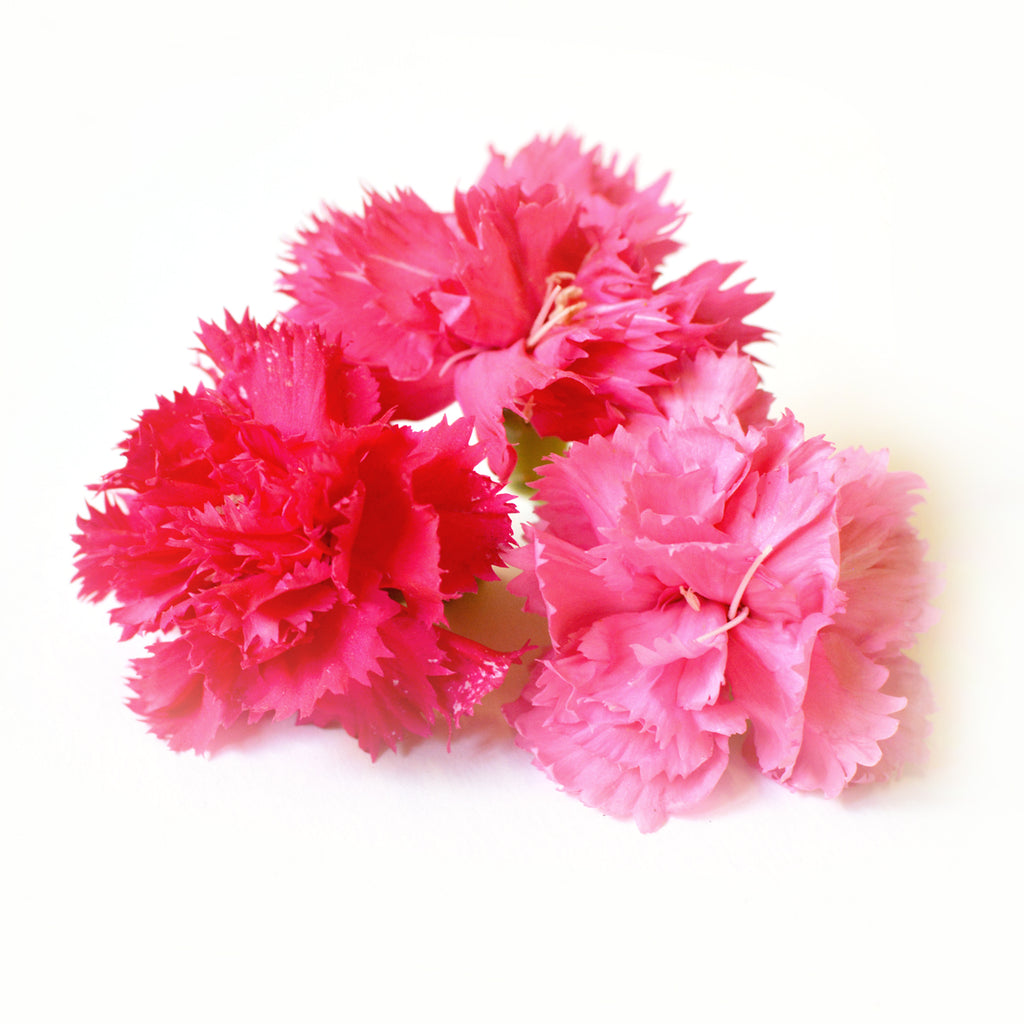 Dianthus Pink - Petite Ingredient
