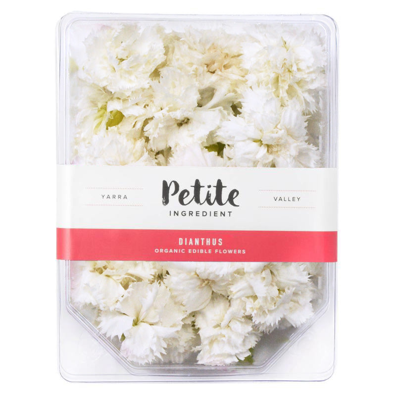 Dianthus White - Petite Ingredient