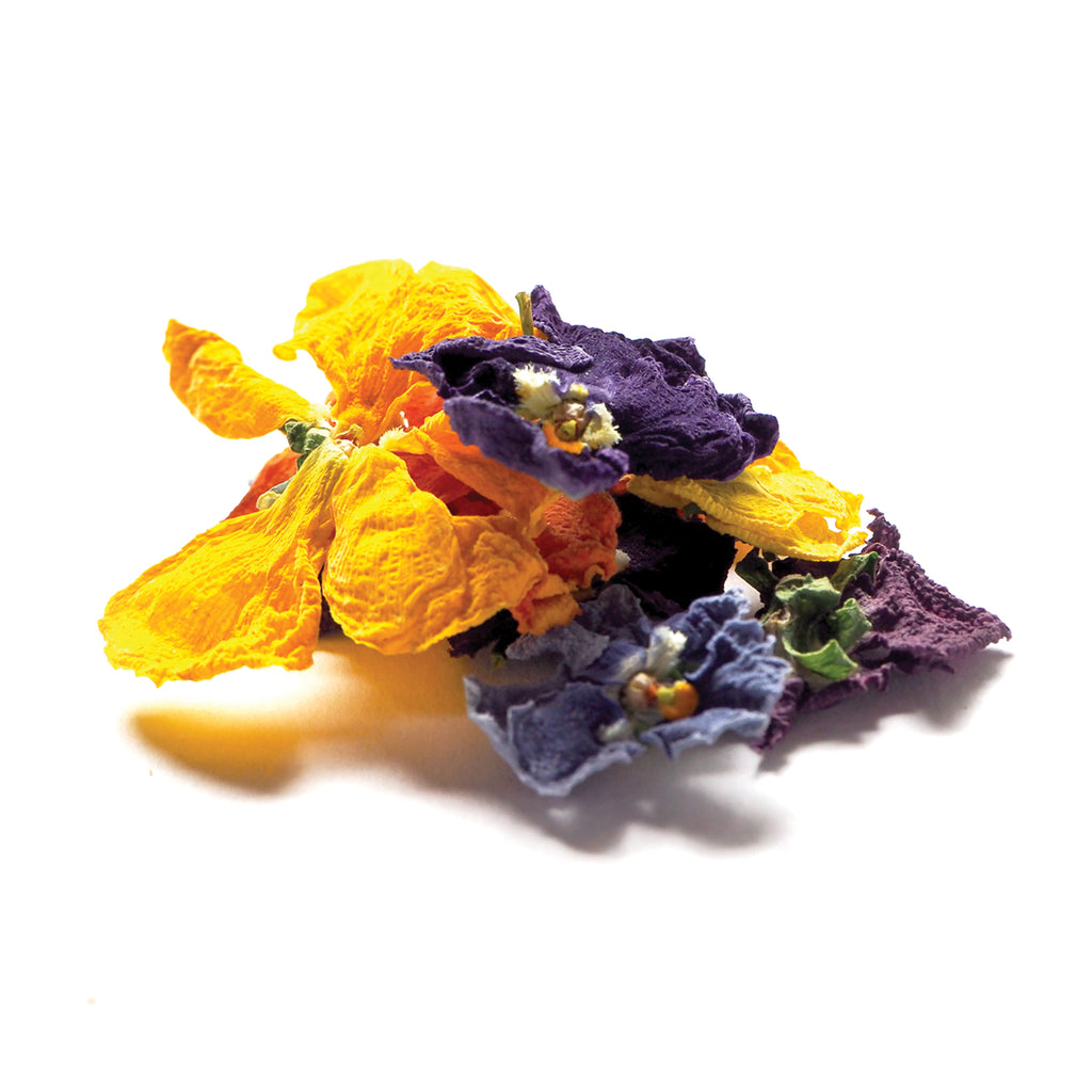 Dried Organic Edible Pressed Pansy - Petite Ingredient