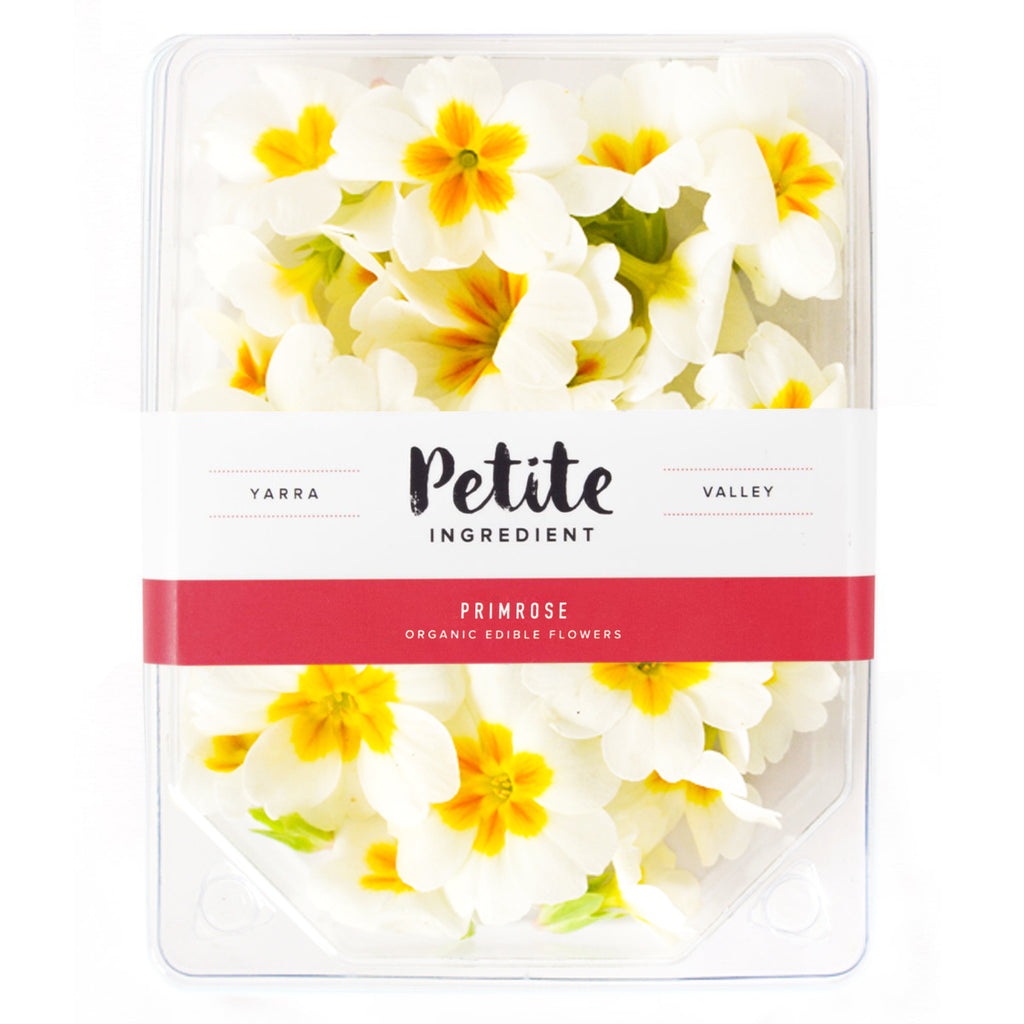 Primrose White - Petite Ingredient