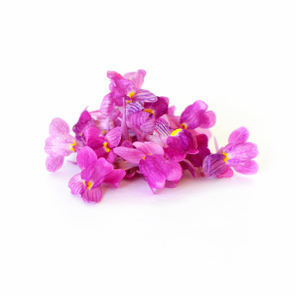 Linaria Pink - Petite Ingredient