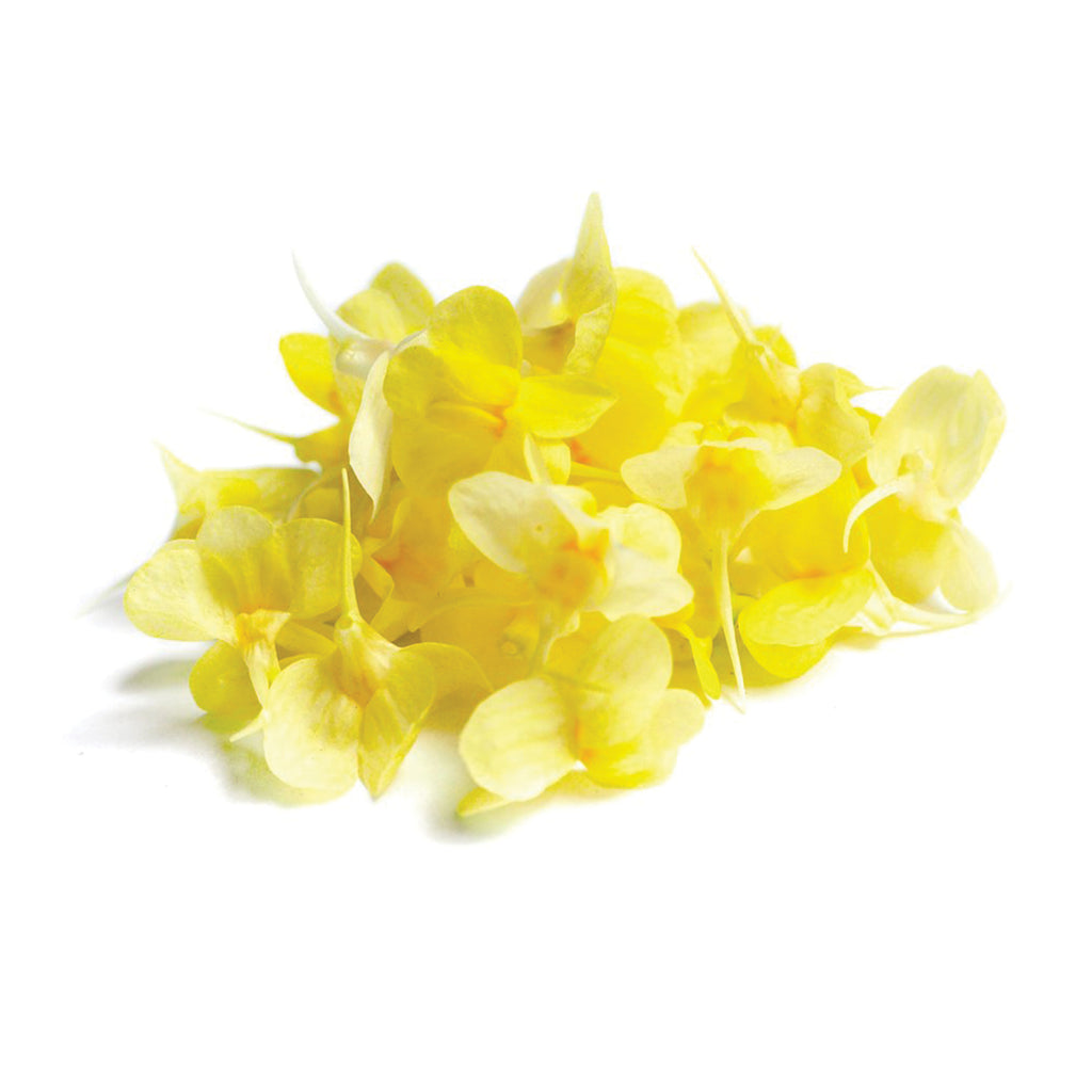 Linaria Yellow - Petite Ingredient
