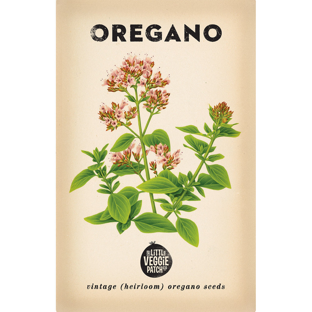 Oregano Seed - Petite Ingredient