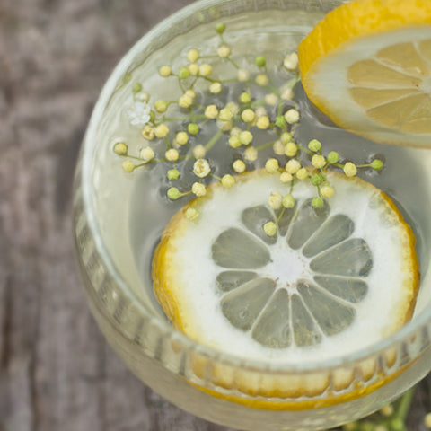 Elderflower Cordial with Dried Edible Elderflowers - Petite Ingredient