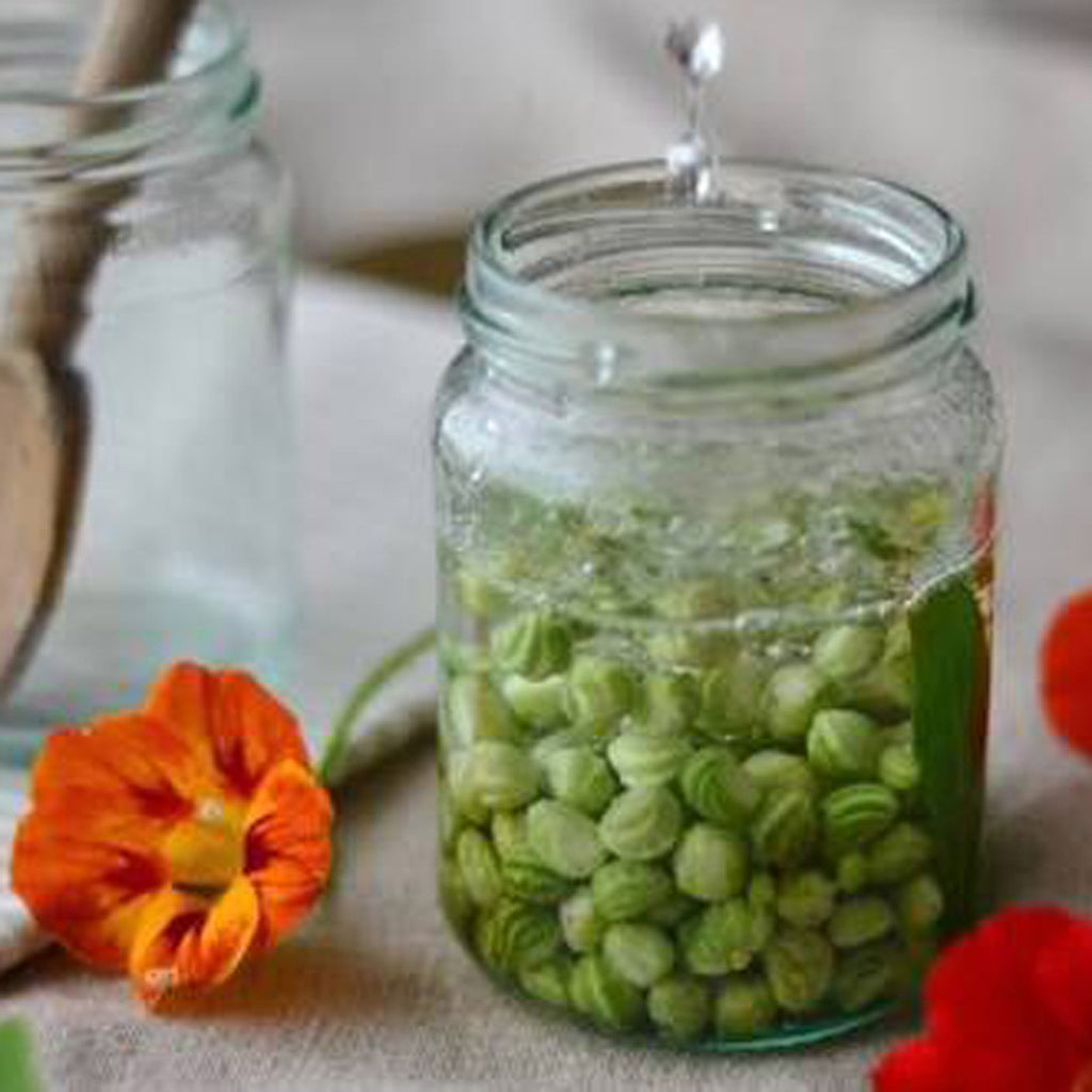 'Poor Mans Capers' Pickled Nasturtium Seed Pods - Petite Ingredient
