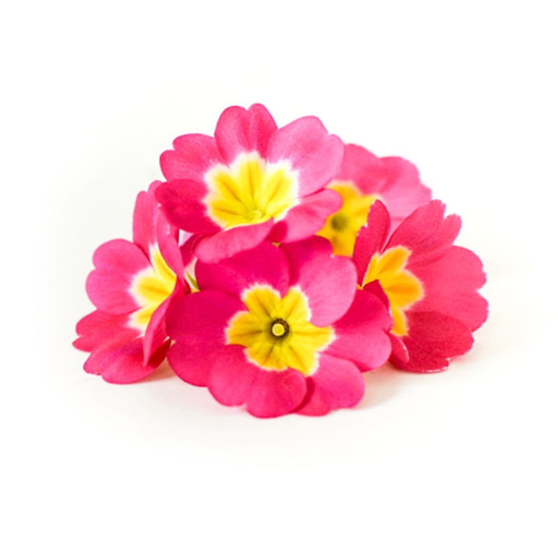 Primrose Pink - Petite Ingredient