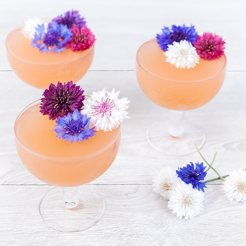 Lillet Rose Spring Cocktail - Petite Ingredient