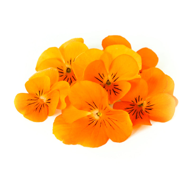 Viola Orange - Petite Ingredient