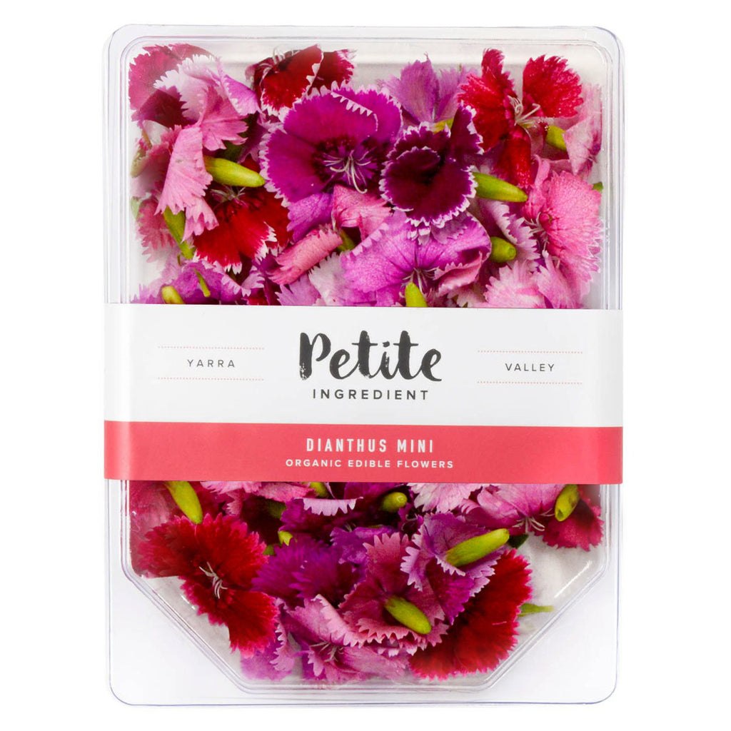 Dianthus Mini Pink - Petite Ingredient