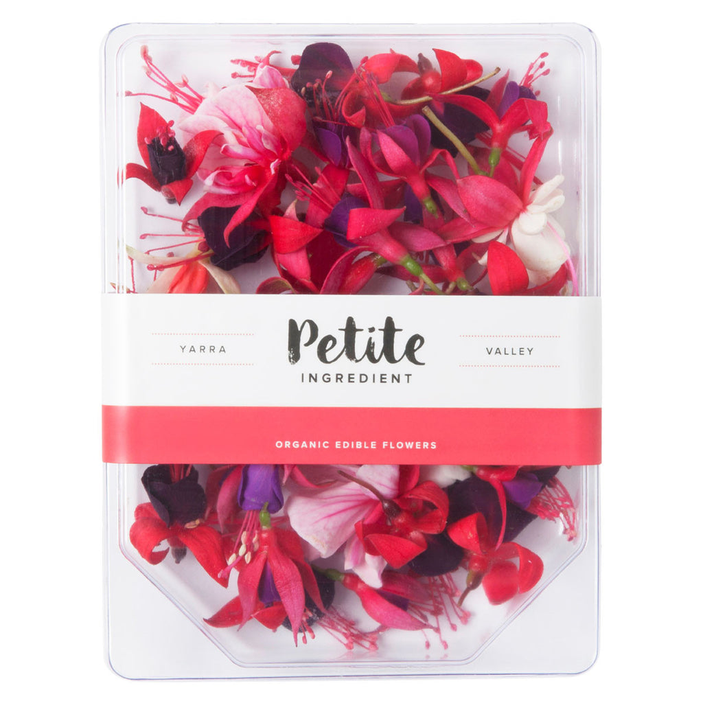 Fuchsia - Petite Ingredient