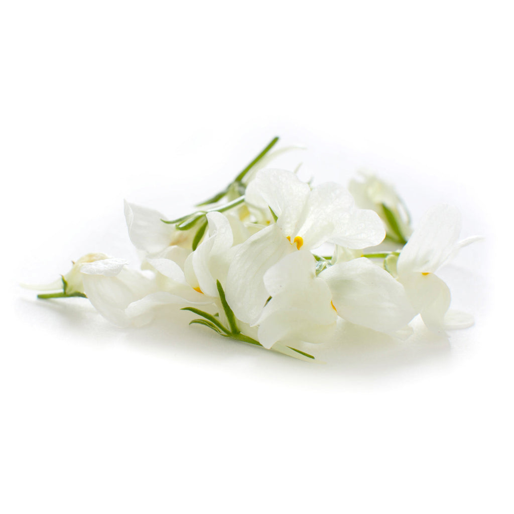 Linaria White - Petite Ingredient