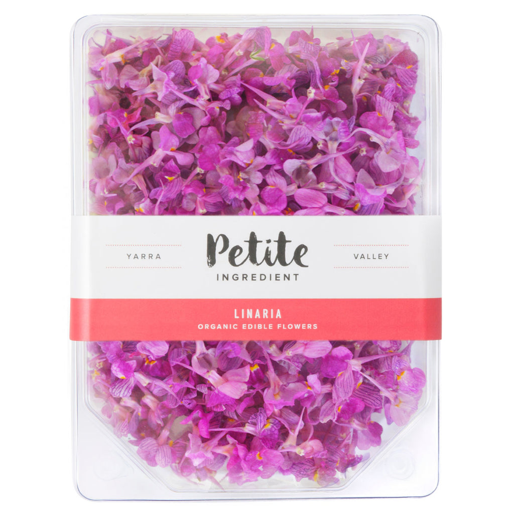 Linaria Pink - Petite Ingredient