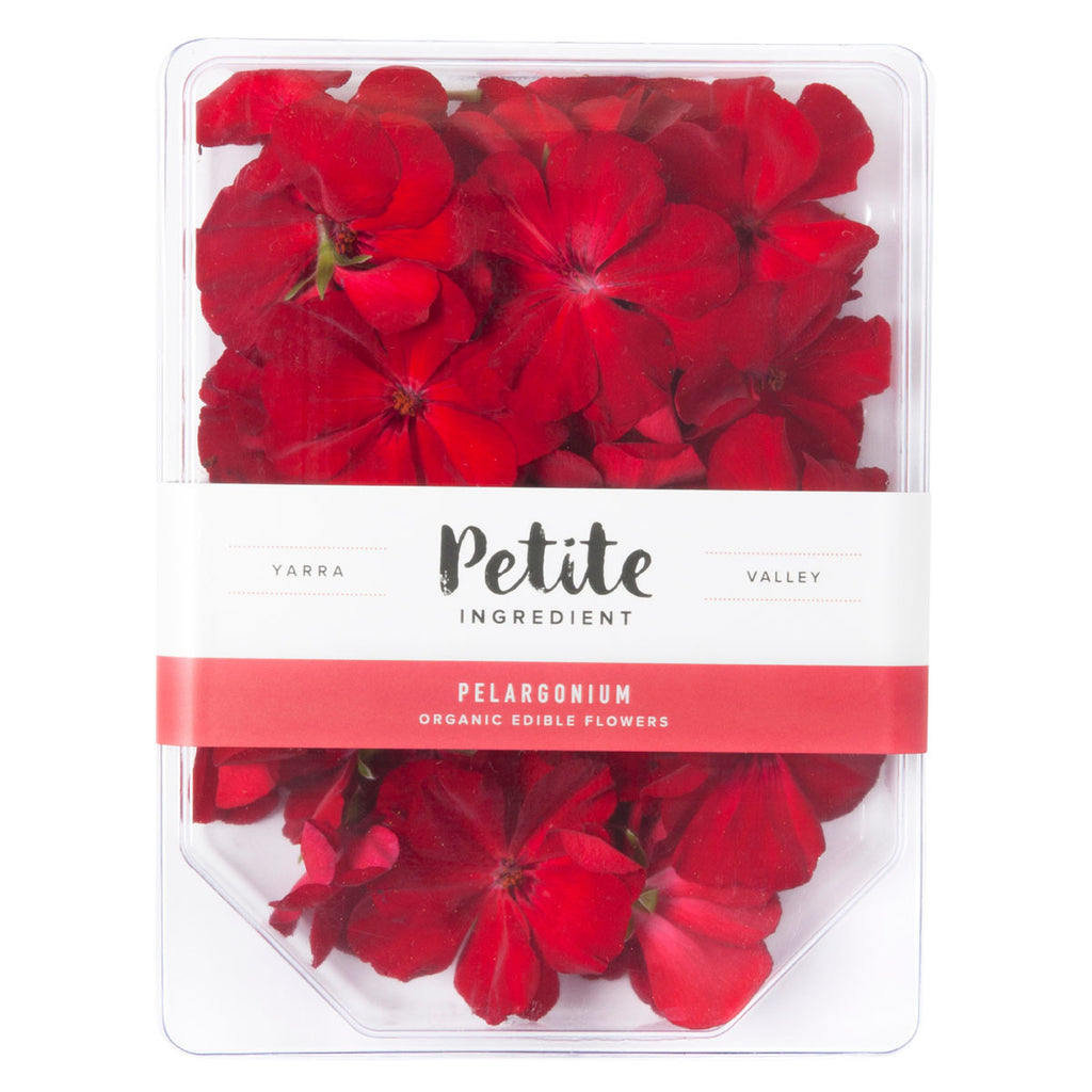 Pelargonium Red - Petite Ingredient