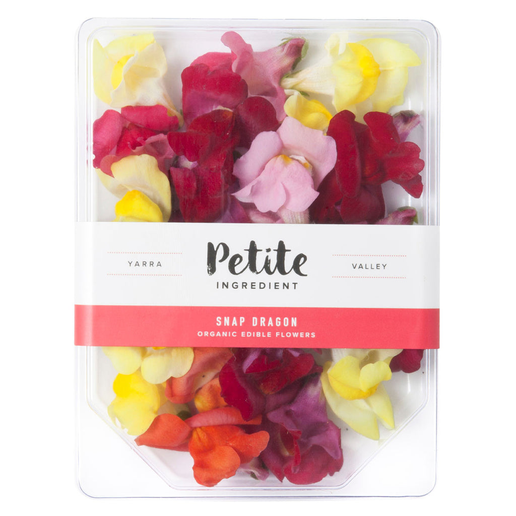 Snap Dragon - Petite Ingredient